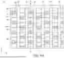 Fig. 19 - SEMICONDUCTOR DEVICE HAVING LANDING PAD AND METHOD FOR MANUFACTURING THE SAME