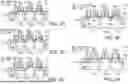 Fig. 03 - MEMORY CELL AND MEMORY CELL ARRAY OF NON-VOLATILE MEMORY