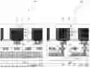 Fig. 32 - U-SHAPED CHANNEL ACCESS TRANSISTORS AND METHODS FOR FORMING THE SAME