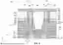 Fig. 44 - MICROELECTRONIC DEVICES INCLUDING ISOLATION STRUCTURES WITH AIR GAPS AND RELATED METHODS