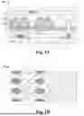 Fig. 02 - METHOD FOR MRAM TOP ELECTRODE CONNECTION