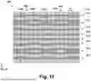 Fig. 12 - TRANSITION BETWEEN DIFFERENT ACTIVE REGIONS