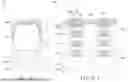 Fig. 20 - CONTACT GATE ISOLATION