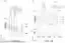 Fig. 05 - SELF-ALIGNED BACKSIDE VIA