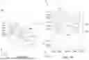 Fig. 10 - SELF-ALIGNED BACKSIDE VIA
