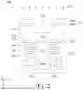 Fig. 23 - SELF-ALIGNED BACKSIDE VIA