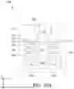 Fig. 28 - SELF-ALIGNED BACKSIDE VIA