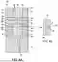 Fig. 04 - DIELECTRIC INNER SPACERS FOR NANOSHEET TRANSISTORS
