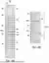 Fig. 05 - DIELECTRIC INNER SPACERS FOR NANOSHEET TRANSISTORS