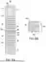 Fig. 06 - DIELECTRIC INNER SPACERS FOR NANOSHEET TRANSISTORS