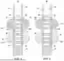 Fig. 07 - DIELECTRIC INNER SPACERS FOR NANOSHEET TRANSISTORS