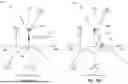 Fig. 18 - Epitaxial Oxide Integrated Circuit