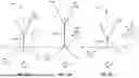 Fig. 28 - Epitaxial Oxide Integrated Circuit