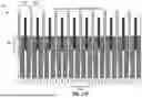 Fig. 38 - Epitaxial Oxide Integrated Circuit