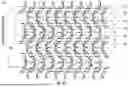 Fig. 53 - Epitaxial Oxide Integrated Circuit