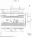 Fig. 06 - DISPLAY DEVICE AND ELECTRONIC DEVICE
