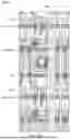 Fig. 12 - DISPLAY SUBSTRATE AND DISPLAY APPARATUS