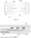 Fig. 05 - DISPLAY PANEL AND DISPLAY DEVICE