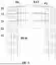 Fig. 07 - DISPLAY PANEL AND DISPLAY DEVICE