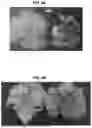 Fig. 06 - LIGHT SOURCE
