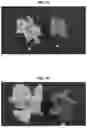 Fig. 12 - LIGHT SOURCE