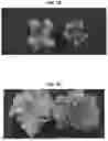 Fig. 13 - LIGHT SOURCE