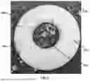 Fig. 02 - PROTECTIVE PLANT BARRIER AND SOIL ENHANCER