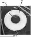 Fig. 03 - PROTECTIVE PLANT BARRIER AND SOIL ENHANCER