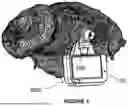 Fig. 02 - IMPROVED ANIMAL TAG ASSEMBLY