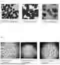 Fig. 02 - DOUBLE-LAYER COATED MICROPARTICLES AND PREPARATION THEREOF