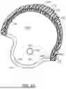 Fig. 27 - Protective Headgear and Methods for Making Same