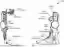 Fig. 01 - POWERED FOOTWEAR ATTACHMENT