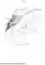 Fig. 02 - SOLE AND FOOTWEAR HAVING THE SOLE