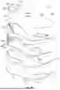 Fig. 19 - SOLE STRUCTURE FOR AN ARTICLE OF FOOTWEAR