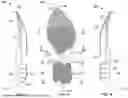 Fig. 09 - ARTICLE OF FOOTWEAR HAVING A SOLE PLATE