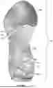 Fig. 14 - SOLE STRUCTURE WITH MIDSOLE PROTRUSIONS AND ARCED PROFILE FOR FORWARD MOMENTUM