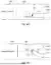 Fig. 22 - METHODS AND APPARATUSES FOR NAVIGATING USING A PAIR OF RIGIDIZING DEVICES