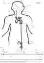 Fig. 05 - IMAGING SYSTEM INCLUDES IMAGING PROBE AND DELIVERY DEVICES