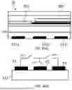 Fig. 05 - Wearable Physiological Signal Sensing System