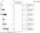 Fig. 13 - SYSTEM AND METHODS FOR PROPOSING DETECTION PARAMETERS FOR DETECTING EPILEPTIFORM ACTIVITY