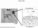Fig. 25 - Non-Destructive Pressure-Assisted Tissue Stiffness Measurement Apparatus