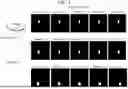 Fig. 05 - METHOD AND DEVICE FOR EXTRACTING QUANTITATIVE INFORMATION IN MEDICAL ULTRASOUND