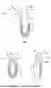 Fig. 02 - Tensionable Knotless Anchors and Methods of Tissue Repair