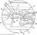 Fig. 01 - ANVIL BUTTRESS ATTACHMENT FOR SURGICAL STAPLING APPARATUS
