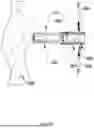 Fig. 30 - CLIP DEVICES, CLIP APPARATUSES, AND METHODS FOR UNLOCKING OF CLIP DEVICES