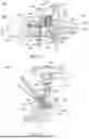 Fig. 03 - INSTRUMENTS AND SURGICAL METHODS FOR BUNION PROCEDURES
