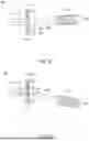 Fig. 23 - INSTRUMENTS AND SURGICAL METHODS FOR BUNION PROCEDURES