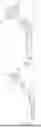 Fig. 05 - Implant of Osteostimulative Material