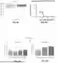 Fig. 04 - METHODS AND APPARATUSES FOR TARGETED TUMOR-SPECIFIC ABLATION