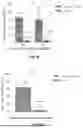 Fig. 11 - METHODS AND APPARATUSES FOR TARGETED TUMOR-SPECIFIC ABLATION